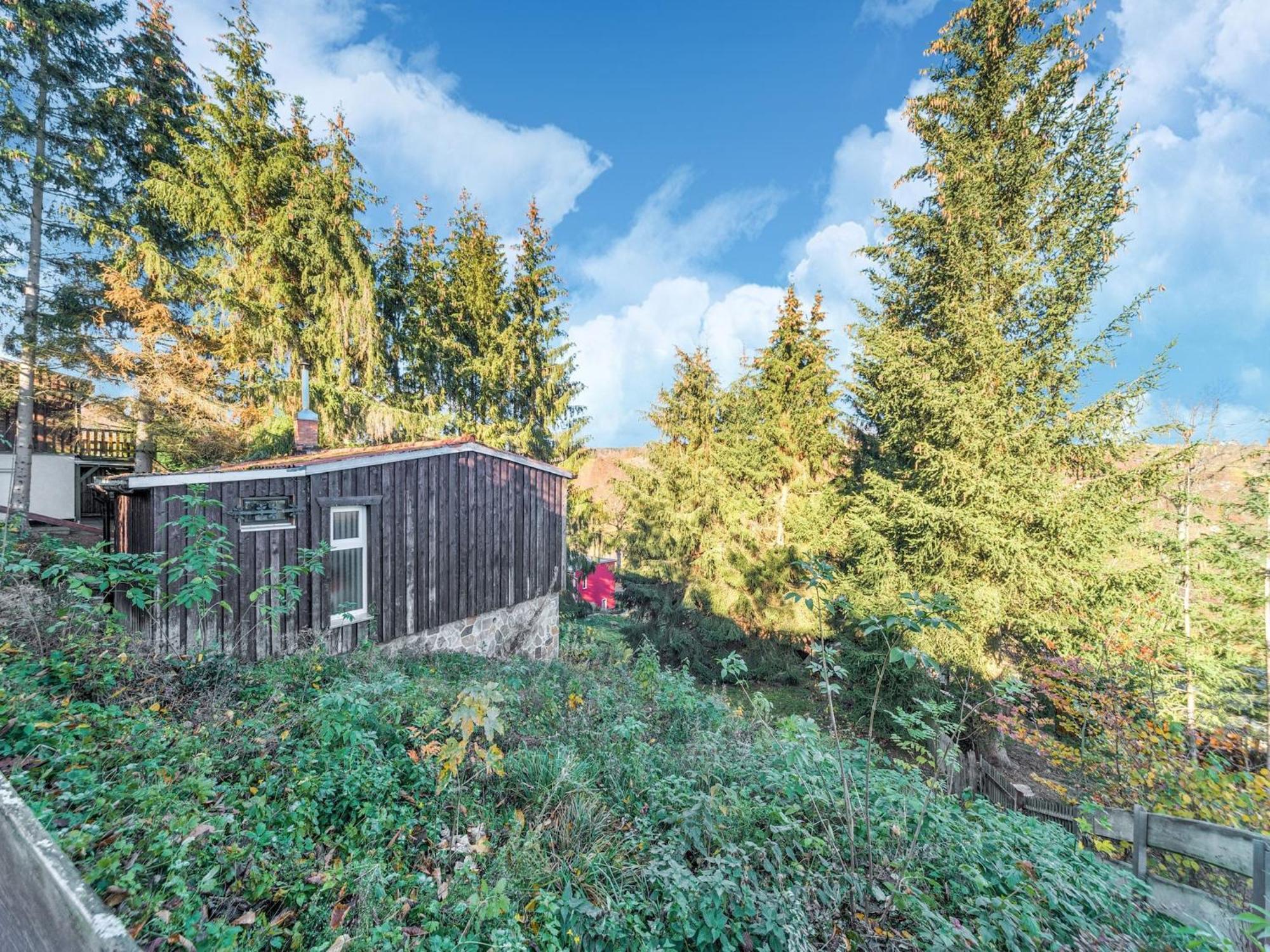 Comely Holiday Home In G Ntersberge Near Forest Güntersberge Esterno foto