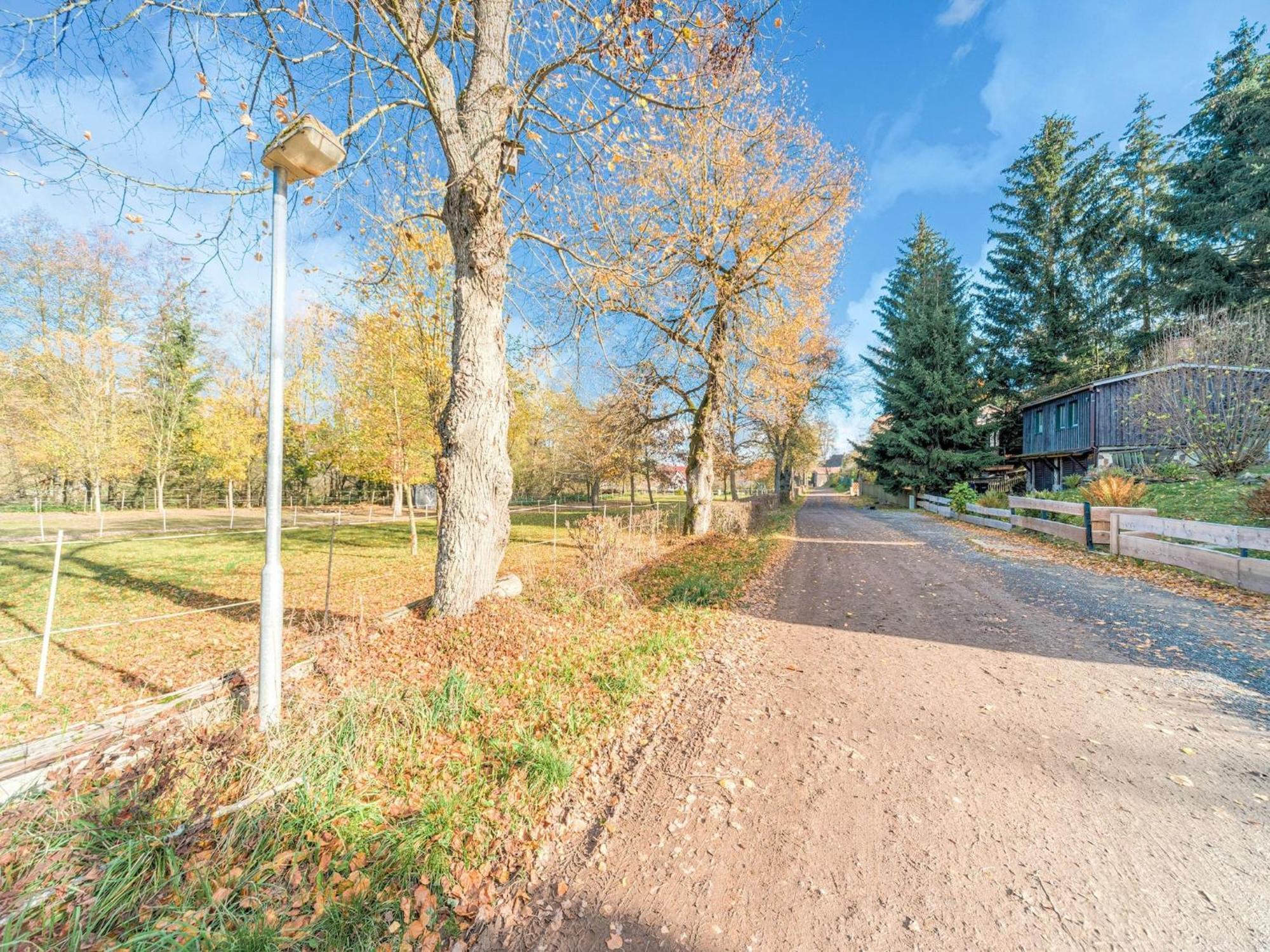 Comely Holiday Home In G Ntersberge Near Forest Güntersberge Esterno foto